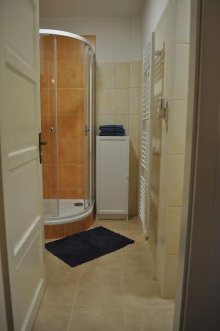 Apartment In Praha 3 Екстериор снимка